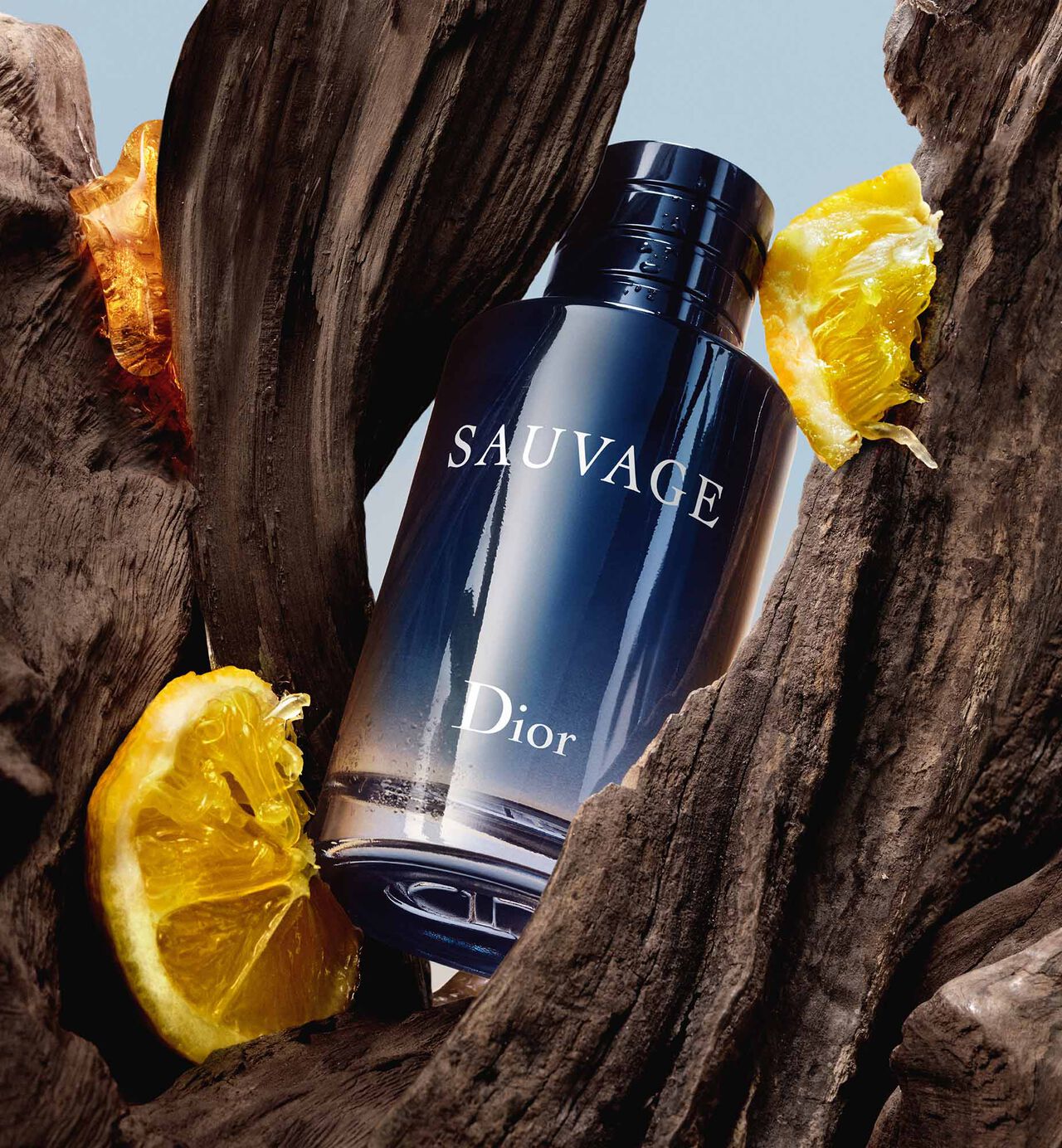 Dior Sauvage Eau De Parfum 100ml – Premium Long-Lasting Luxury Men's Fragrance